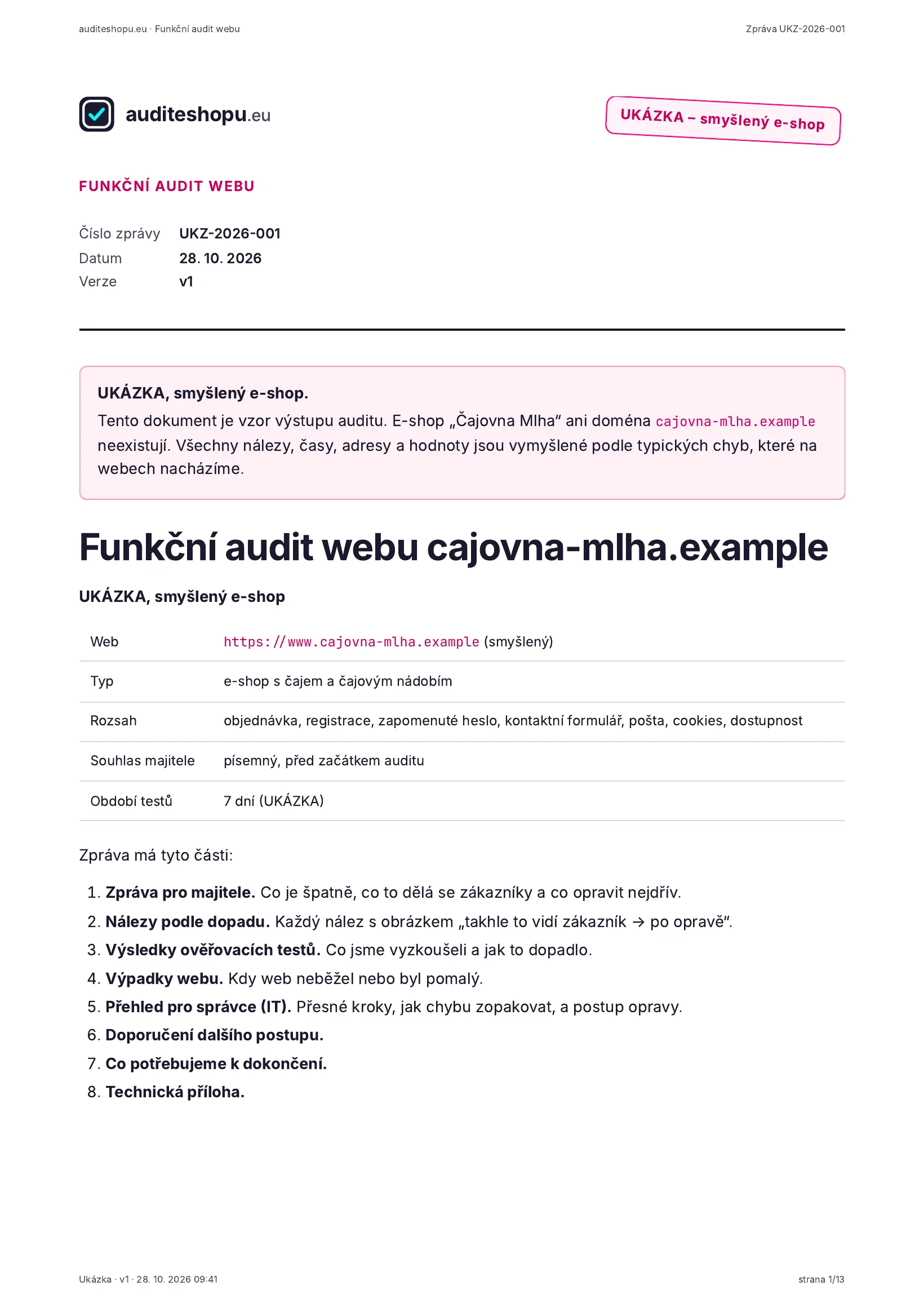 Ukázka auditu, strana 1 z 13